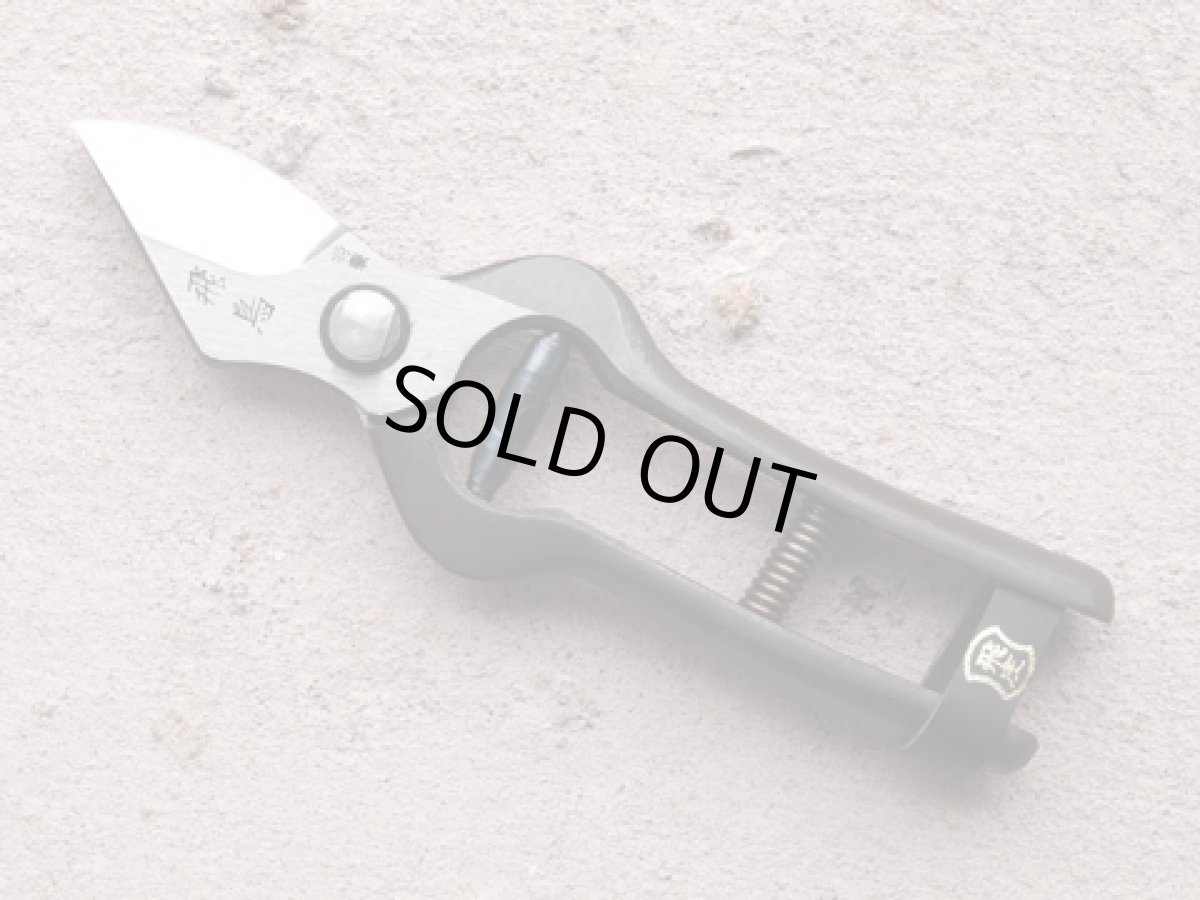 Photo1: [Tobisho] Pruners Asuka (1)