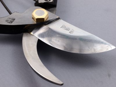 Photo1: [Tobisho] Pruners A-type 200mm (Aogami steel)