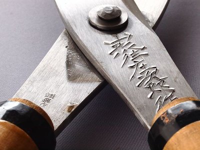 Photo2: [Tobisho] Karikomi Shears (SYOJIRO , Yamagata type)