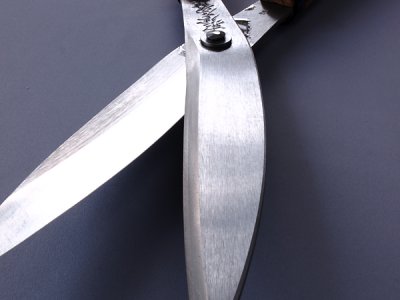 Photo1: [Tobisho] Karikomi Shears (SYOJIRO , Yamagata type)