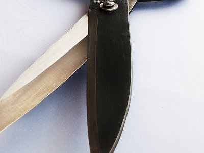 Photo1: [Tobisho] Karikomi Shears (SYOJIRO , Kanto type)