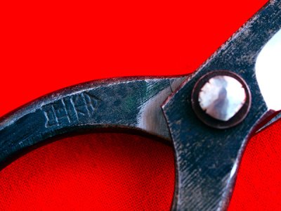 Photo2: [KANETAKA] Ikenobo Shears (Full length 165mm, long edges)