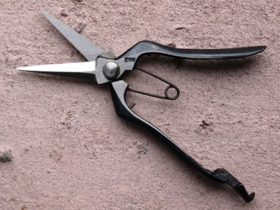 Photo1: [Tobisho] Double Bevel Bud Shears 200mm (7.9")