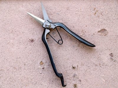 Photo1: [Tobisho] Double Bevel Bud Shears 180mm (7.1")