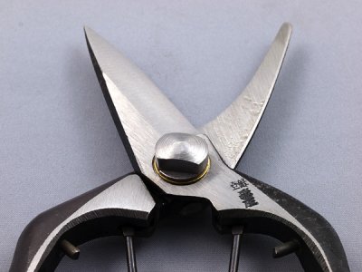 Photo2: [Tobisho] Cutting buds pruner (180mm edges)