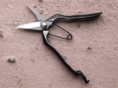 Photo1: [Tobisho] Cutting buds pruner (180mm edges)