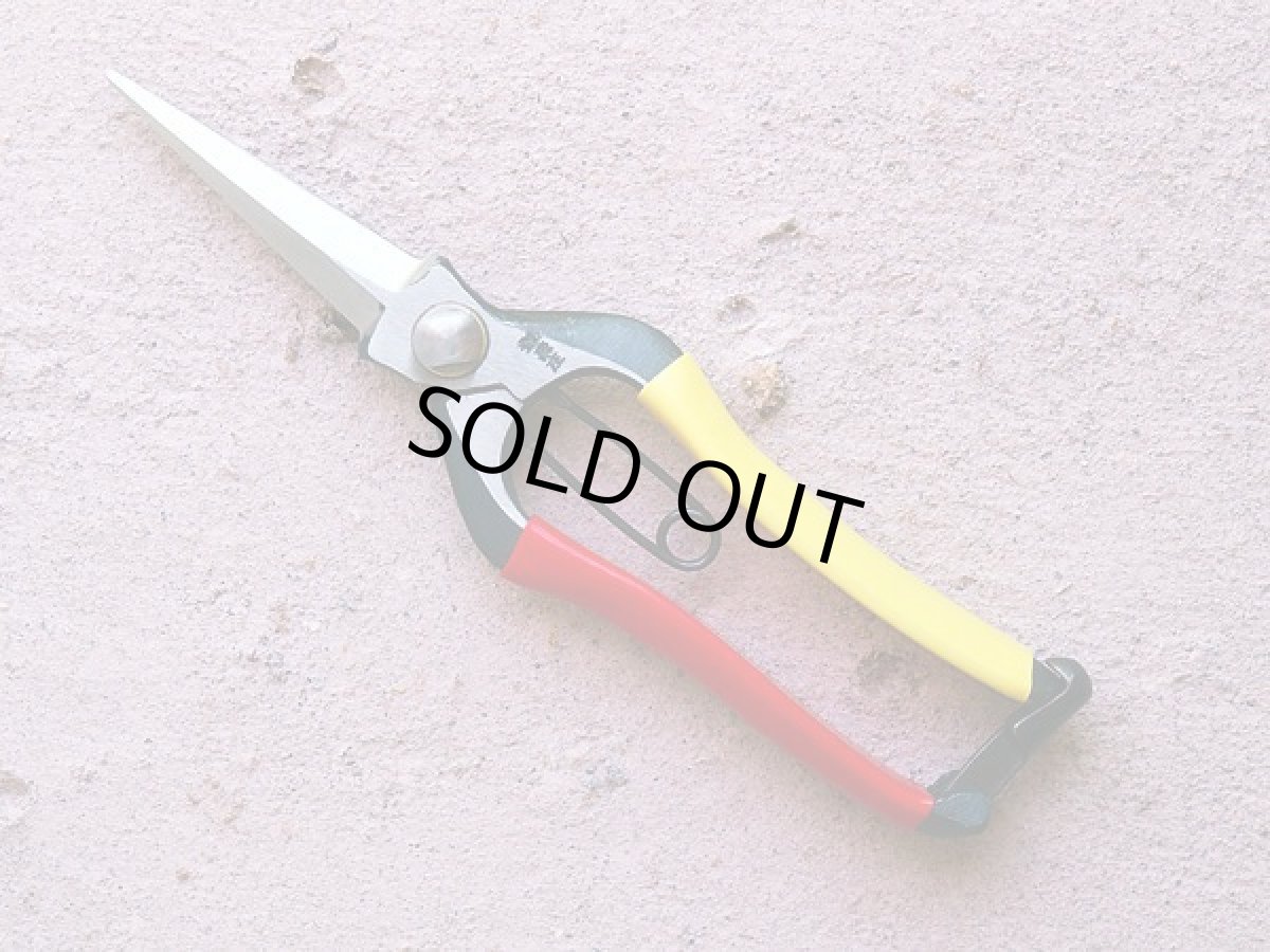 Tobisho, Double Bevel Bud Shears 200mm (7.9") Red & Yellow Taped Handle forged in Yamagata Japan — full view of blade and handle