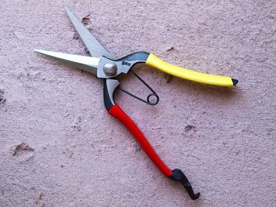 Photo1: [Tobisho] Snipping Pruners (200mm edge / red & yellow taped)