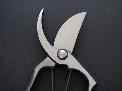 Photo3: [Tobisho] Pruners A-type 225mm (Aogami steel)