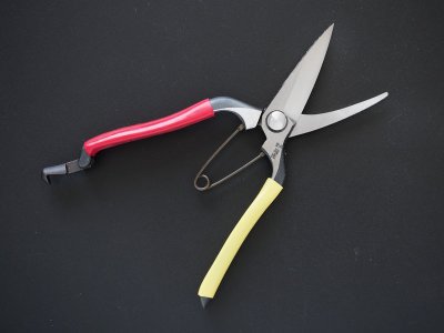 Photo1: [Tobisho] Cutting buds pruner (200mm edges / Red and Yellow tape)