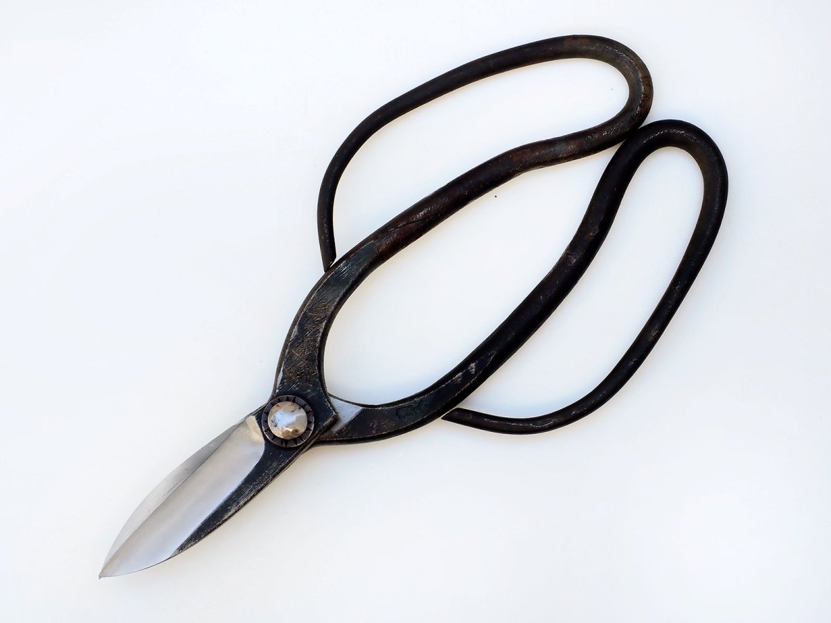 Photo1: Wabasami 215mm (8.46 inch) Blue paper steel, Kyoto style, Right hand, for Professional (1)