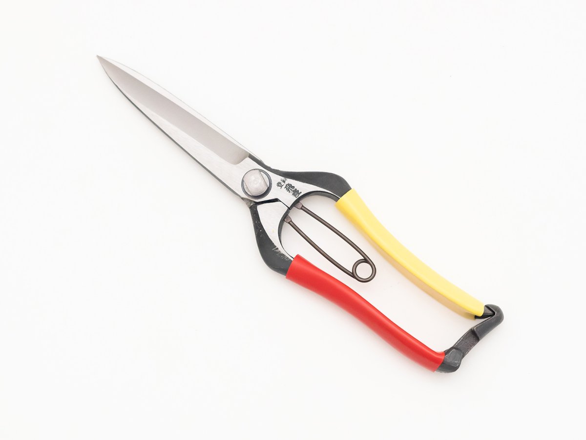 Photo1: [Tobisho] Pine needle Pruners (230mm) (1)