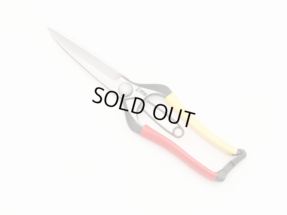 Photo1: [Tobisho] Pine needle Pruners (230mm) (1)
