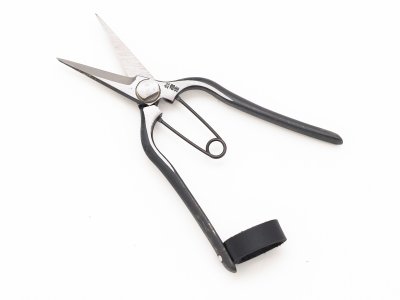 Photo1: [Tobisho] Snipping Pruners (165mm) [Alias] Pro petit snips