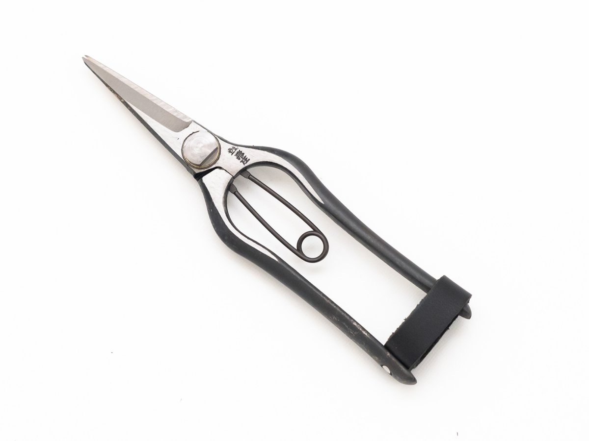 Photo1: [Tobisho] Snipping Pruners (165mm) [Alias] Pro petit snips (1)