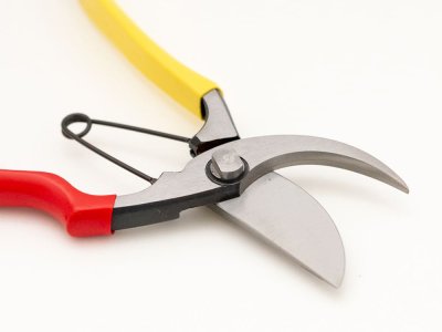Photo3: [Tobisho] Pruners A-type 200mm (Aogami steel / Red and Yellow taped handle)