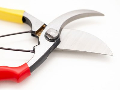 Photo3: [Tobisho] Pruners A-type 200mm (Red and Yellow taped handle)