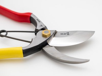 Photo2: [Tobisho] Pruners A-type 200mm (Aogami steel / Red and Yellow taped handle)