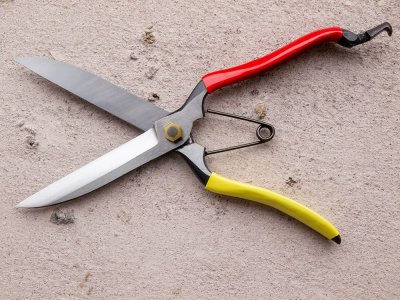 Photo1: [Tobisho] Topiary shears 270mm (Double and Straight blade)