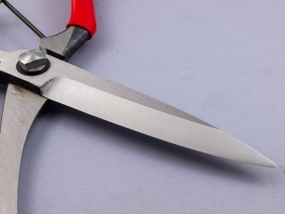 Photo3: [Tobisho] Barracuda Clippers 270mm (Single and Straight blade)