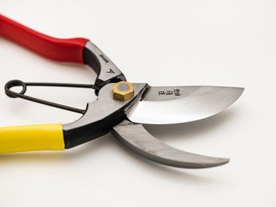 Photo2: [Tobisho] Pruners A-type 225mm (Aogami steel / Red and Yellow taped handle)