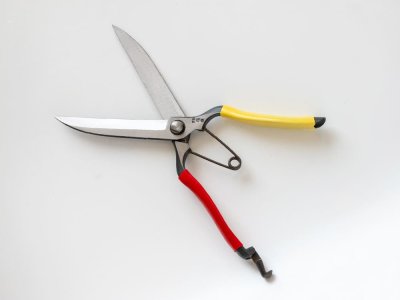 Photo1: [Tobisho] Topiary shears 270mm (Double and warpage blade)