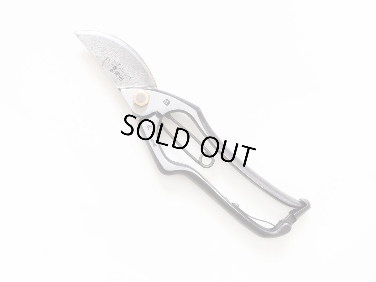 Photo1: [Tobisho] Pruners A-type 225mm (Damascus / Edge : Aogami steel) (1)