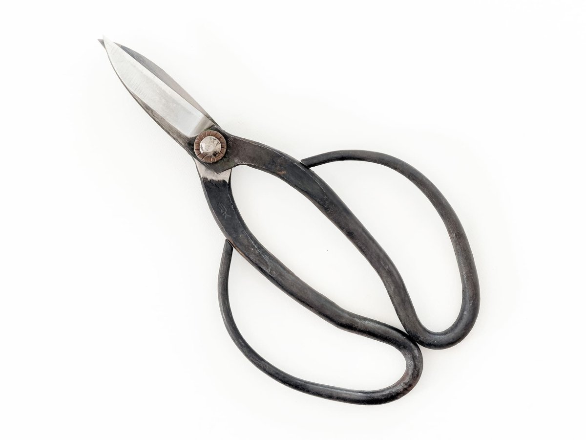 Photo1: [Sasaoka] Kyoto-style traditional shears (Right-handed) (1)
