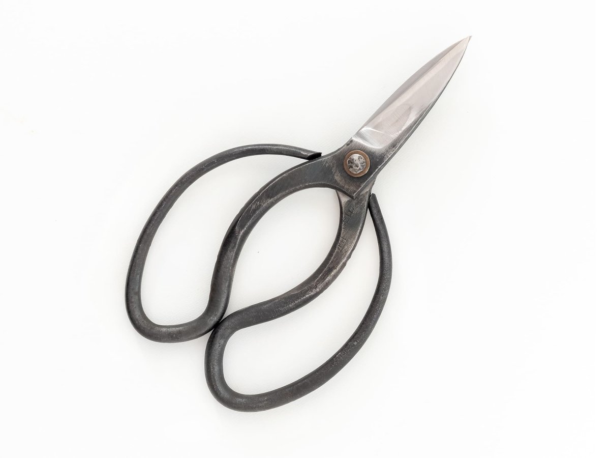 Photo1: [Sasaoka] Okubo traditional shears (Left-handed) (1)