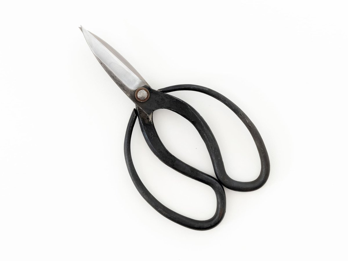 Photo1: [Sasaoka] Okubo-style Traditional Gardening Shears (Right-handed) (1)