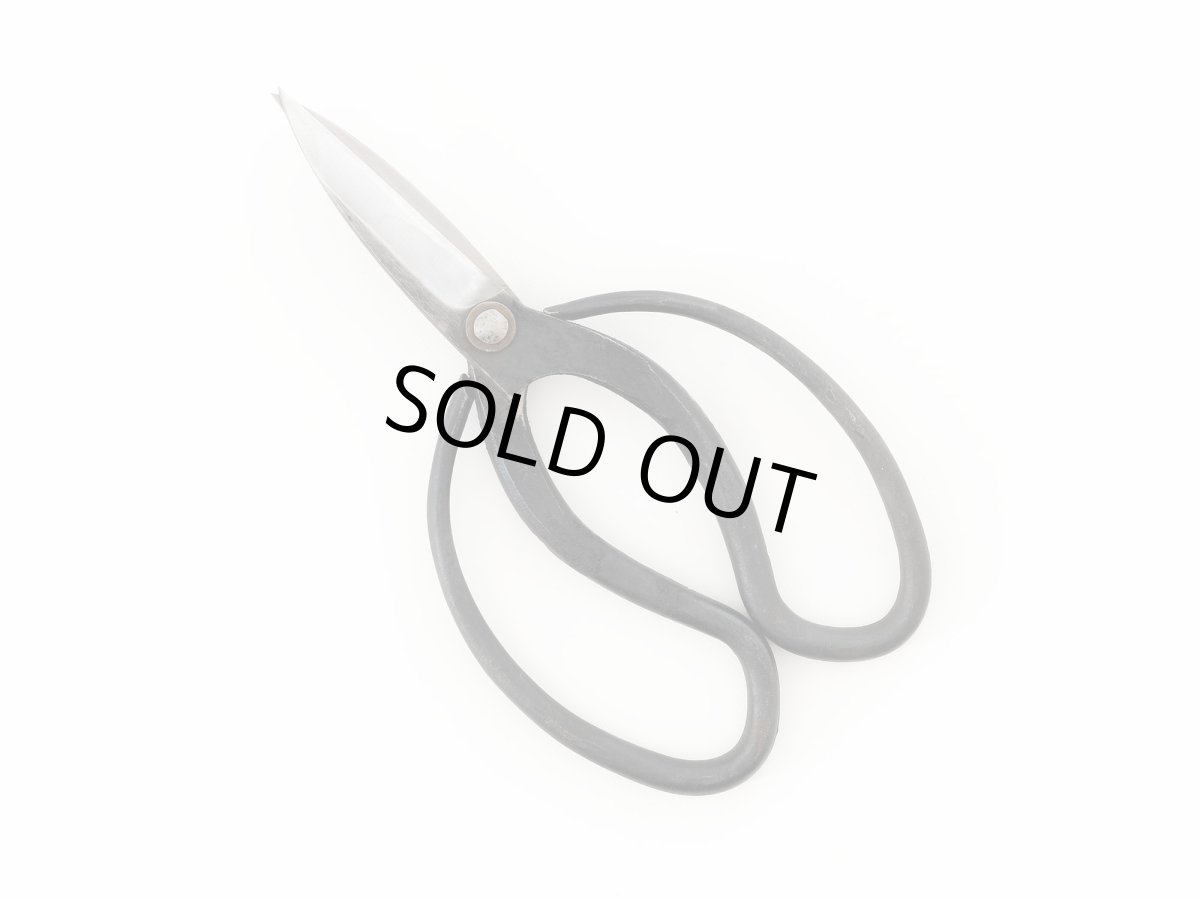Photo1: [Sasaoka] Okubo-style Traditional Gardening Shears (Right-handed) (1)