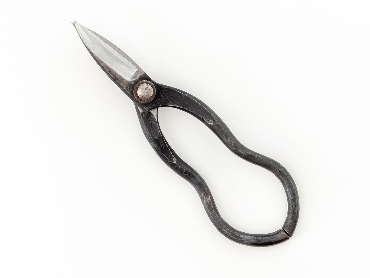 Photo1: [Sasaoka] Gourd-shaped Kiribashi shears (Right-handed) (1)