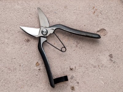 Photo1: [Tobisho] Double-Bladed Pruning Shears (Curved Blade) 185mm (7.3")