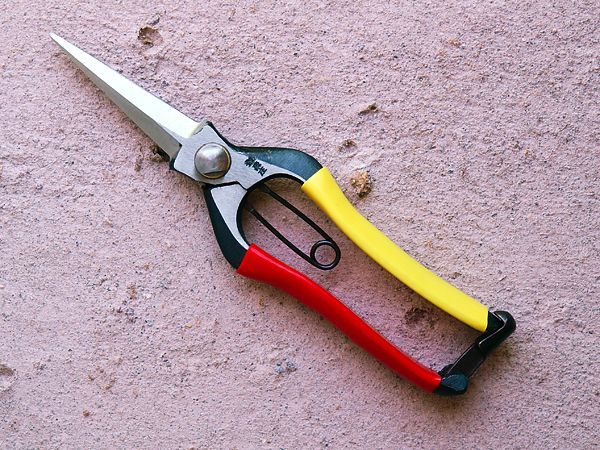 Photo1: [Tobisho] Snipping Pruners (200mm edge / red & yellow taped) (1)