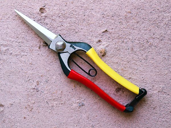 [Tobisho] Snipping Pruners (200mm edge / red & yellow taped)