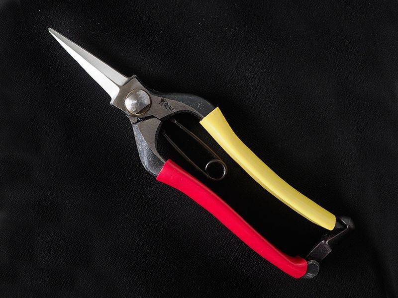 Photo1: [Tobisho] Snipping Pruners (180mm / red & yellow taped) (1)