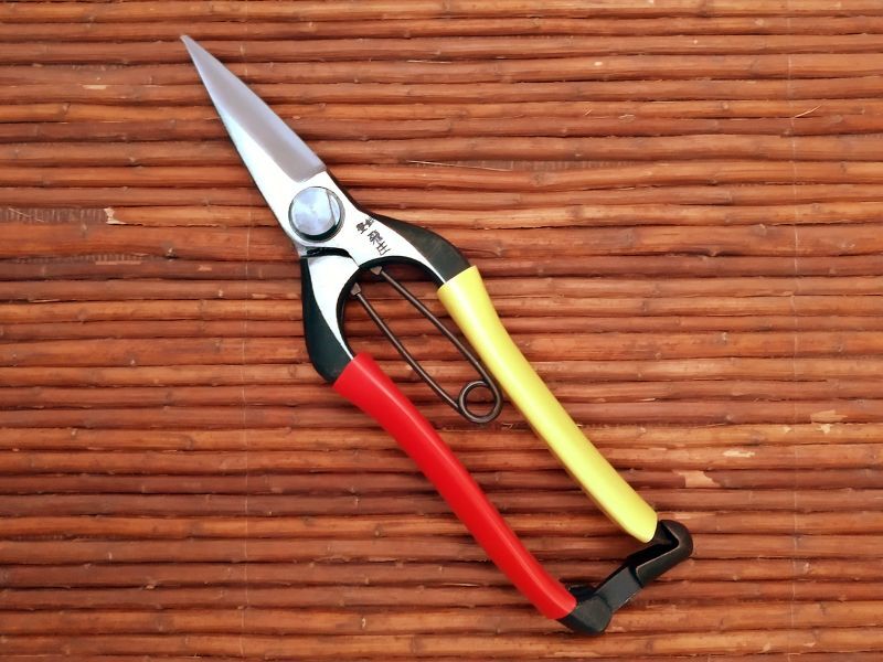 Photo1: [Tobisho] Cutting buds pruner (180mm edges, Red and Yellow taped) (1)