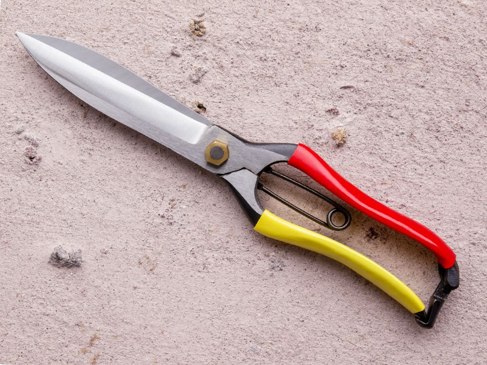 [Tobisho] Topiary shears 270mm (Double and Straight blade)